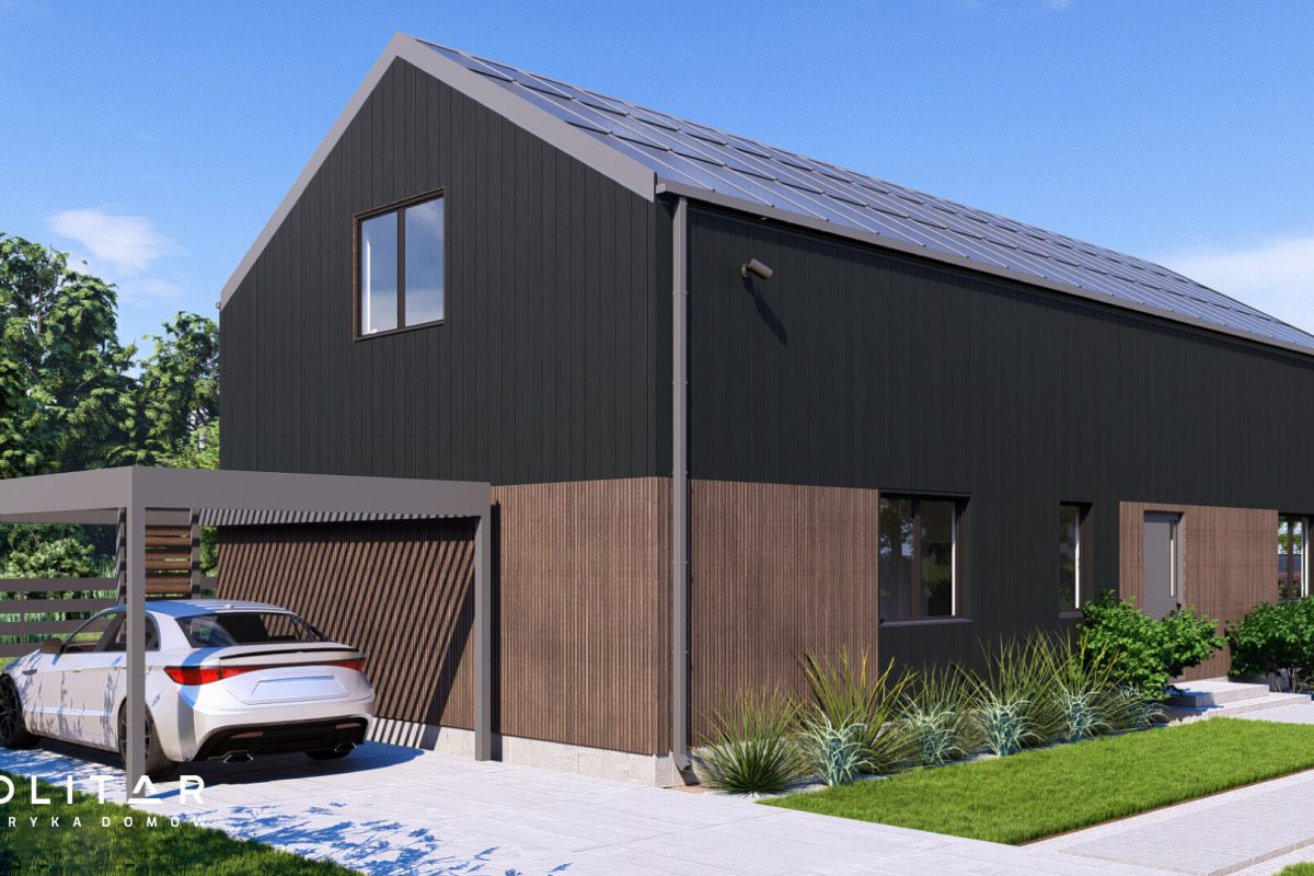 sole-100-z-poddaszem-1